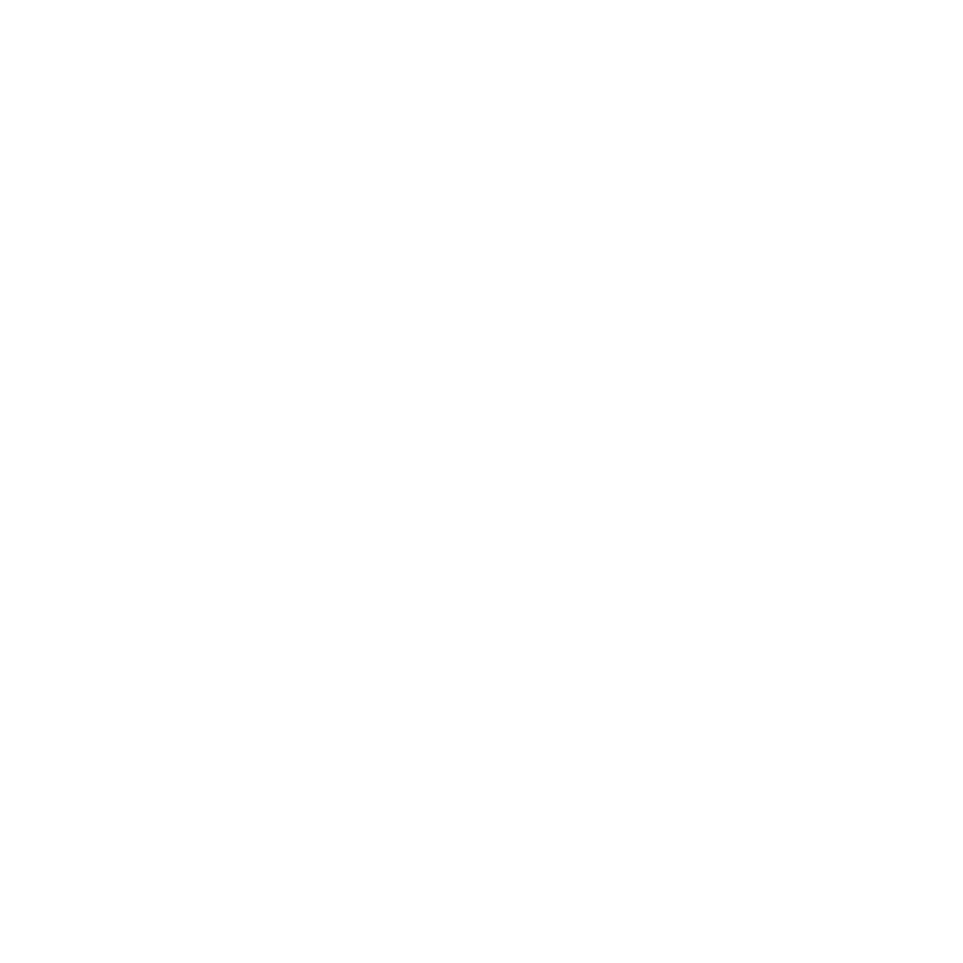 consultora (5)